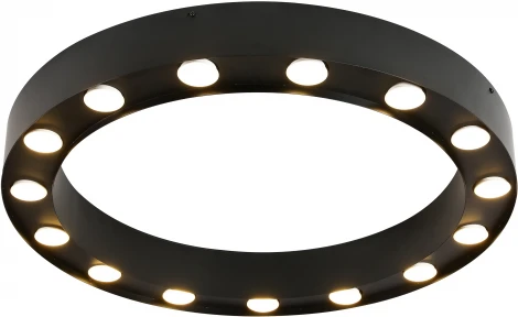 Потолочный светильник круглый Favourite Attica 3007-15U (220V, круглые, кольцо)