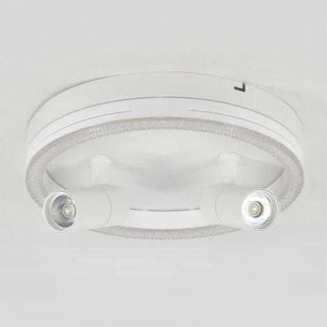 Настенно-потолочный светодиодный светильник Escada 20044LED 20044SMA/03LED WH 43Вт, металл/акрил, белый