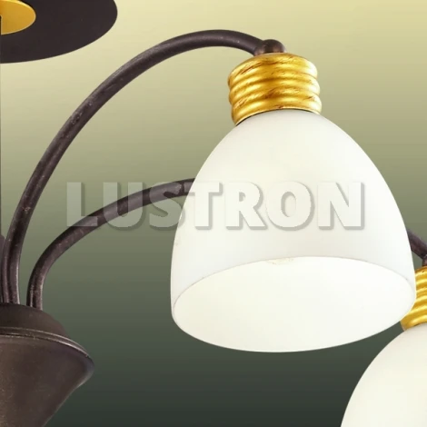 Потолочная люстра Odeon Light Tanais 2624/5C