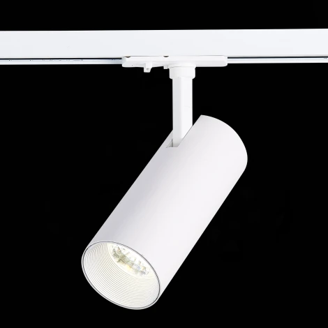 Трековый светильник ST Luce Mono ST350.536.20.36 (LED, 220V, круглые, IP22)