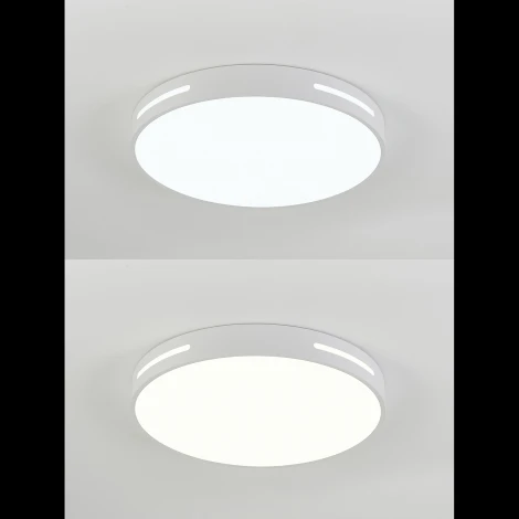 Потолочный светодиодный светильник Natali Kovaltseva Modern LED LAMPS 81334 с пультом ДУ 80W, белый, LED