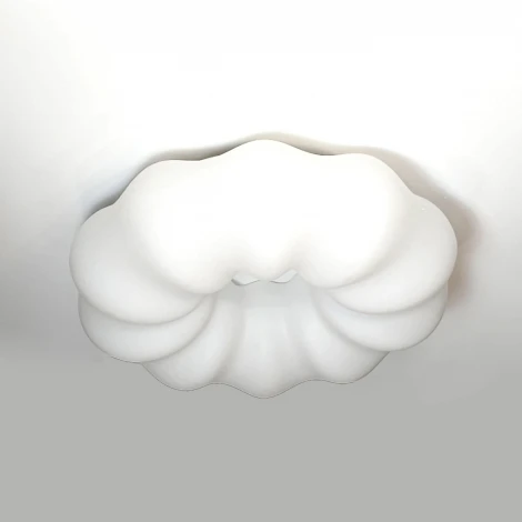 Потолочный светильник с пультом Zortes Soft ZRS.1118.4 (LED, 220V, цветы)