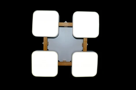 Потолочная люстра Natali Kovaltseva LED LAMPS 81323