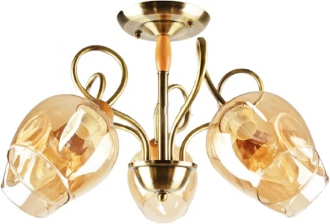 Потолочная люстра на штанге Мелодия Света SS1N 000024839