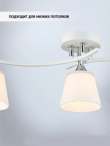 Потолочная люстра Wedo Light Aleno WD3635/3C-WT-CR-WT