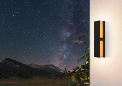 Настенный светильник светодиодный уличный Eglo COSTORIO 900291 (220V, IP44)