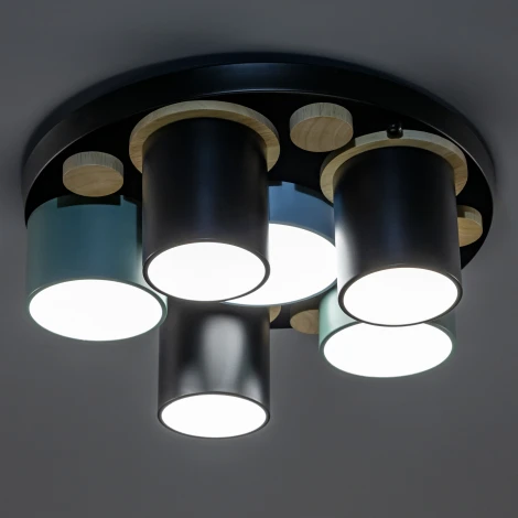 Потолочный светодиодный светильник с ДУ Ritter Scandia 52075 7