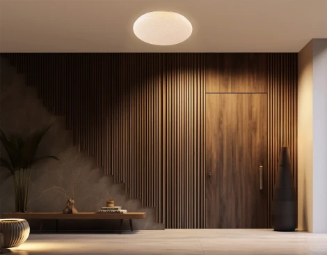 Потолочный светильник круглый светодиодный с пультом (Ночной режим, С таймером) Ambrella Orbital FZ1751