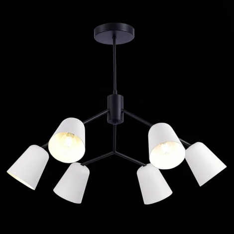 Потолочная люстра на штанге Evoluce Mario SLE155942-06