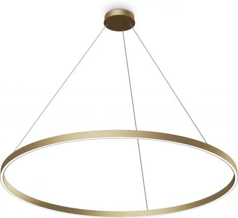 Подвесной светильник Maytoni Rim MOD058PL-L65BSK (LED, 220V, на тросе, кольцо)