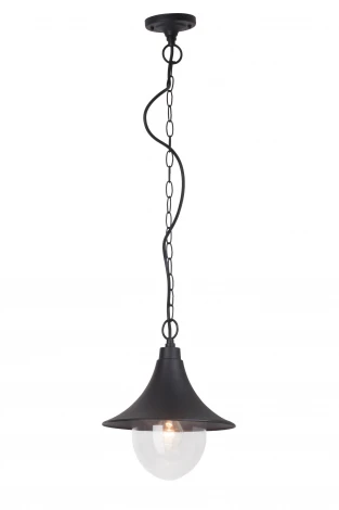 Уличный светильник подвесной Brilliant Berna 41070/06