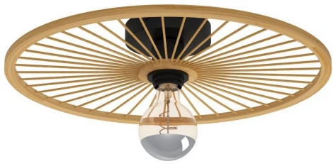 Потолочный светильник круглый Eglo LEOMINSTER 43883 (220V, круглые)