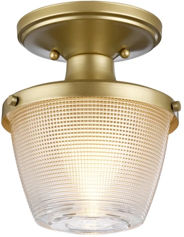 Потолочный светильник Dublin QZ-DUBLIN-SF-PNBR Quoizel (220V, IP44)