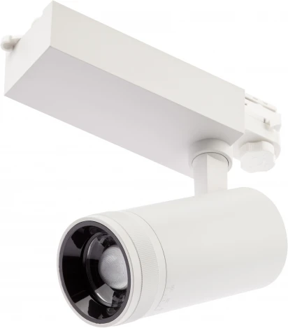 Трековый светильник ЭРА STR-30-99-40K-W30 (LED, 220V, круглые, IP40)