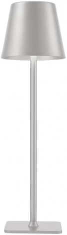 Настольная лампа с аккумулятором F-Promo Pyari 4617-1T (LED, 220V)