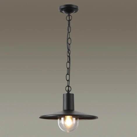 Уличный светильник подвесной Odeon Light Furcadia 4833/1 (220V, на цепи, круглые, IP44)