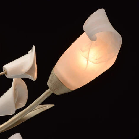 Потолочная люстра MW-Light Восторг 242016906 (220V, цветы, листья)