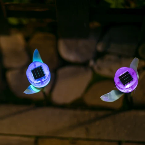 Грунтовый светильник на солнечной батарее Uniel USL-C-453/PT305 PURPLE TULIP (LED, цветы)