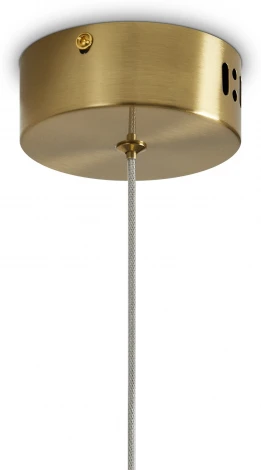 Подвесной светильник Freya Lolli FR6139PL-L8BS (LED, 220V, на проводе, круглые)