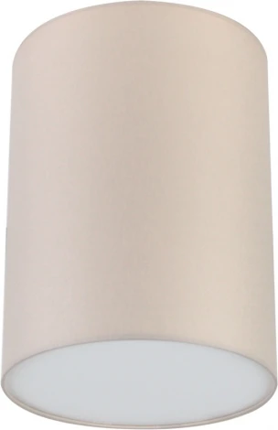 Потолочный светильник круглый Lighthall Camerona 30 LH022019 (круглые)