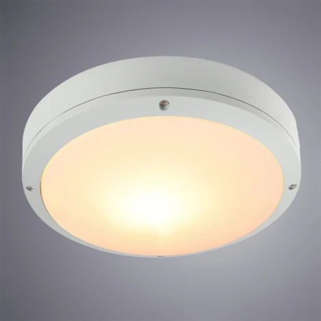 Настенный светильник уличный Arte Lamp City A8154PF-2WH