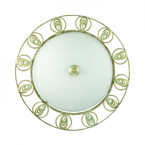 Настенно-потолочный светильник Odeon Light Kanti 3483/3C