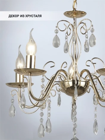 Подвесная люстра Wedo Light Umut WD3535/5H-FGD-CL