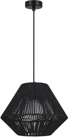 Подвесной светильник Evoluce Ettan SLE6025-403-01 черный/черный E27 1*40W (220V, на проводе)
