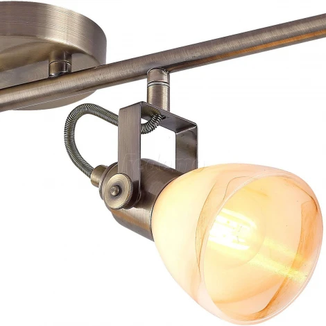 Спот Arte Lamp Tulip A9581PL-4AB