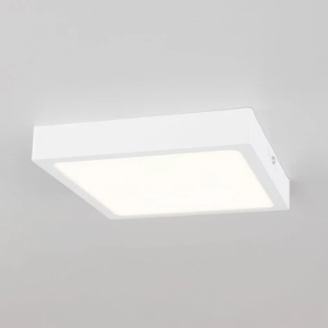 Потолочный светильник Citilux Галс CL55K22N (LED, 220V)