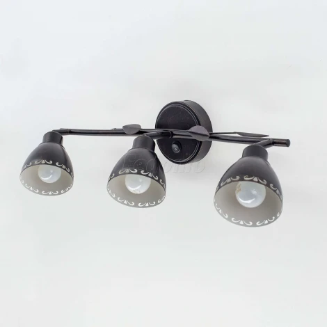 Спот Citilux Робуста CL509532