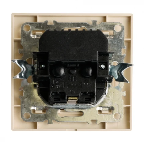 Розетка с заземлением и USB Type A+С (слоновая кость) Stekker Эрна 50077