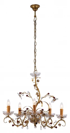 Подвесная люстра Arte Lamp Palazzo A8933LM-5SG