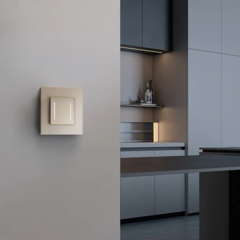 Рамка на 1 пост (шампань, стекло soft-touch) Werkel W0013111 (a064576)