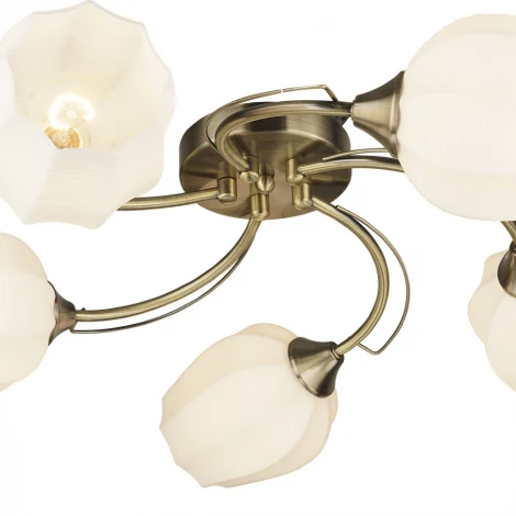 Потолочная люстра Wedo Light Shajena 66593.01.05.05