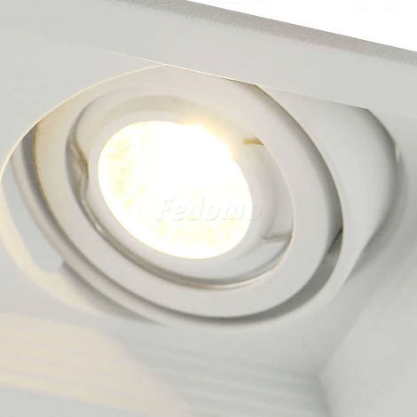 Встраиваемый точечный светильник Arte Lamp Canis A6661PL-2WH (220V)