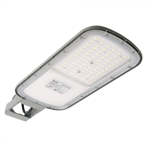 Светодиодный уличный консольный светильник Feron SP3070 51797