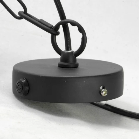 Подвесной светильник Lussole Loft Buffalo GRLSP-9994