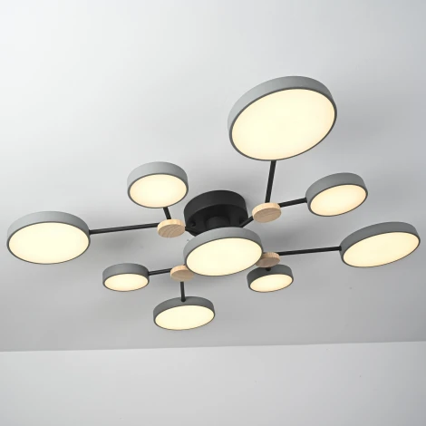 Потолочная люстра с пультом на штанге LED Lu Carte LC-11-1718