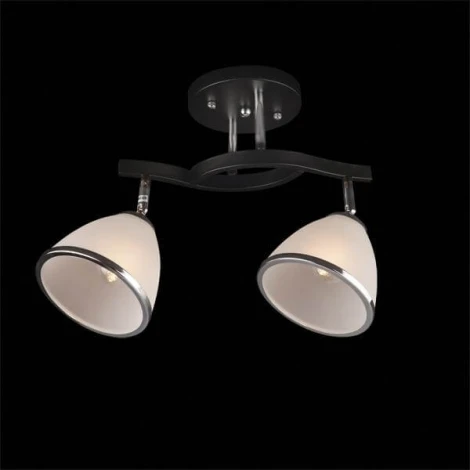 Потолочная люстра Eurosvet 9612 9612/2 хром/венге