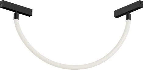 Трековый светильник с гибким неоном 220 Denkirs Smart Ray DK8060-BK (LED, пульт управления)