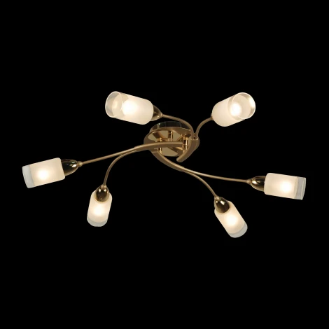 Потолочная люстра Citilux Montana CL117162