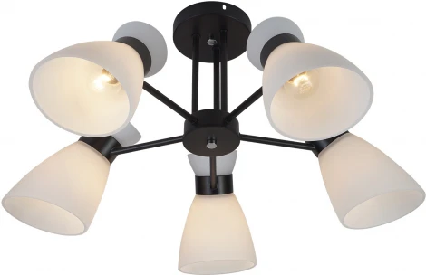 Потолочная люстра на штанге Reluce 01416-0.3-05 BK+CR