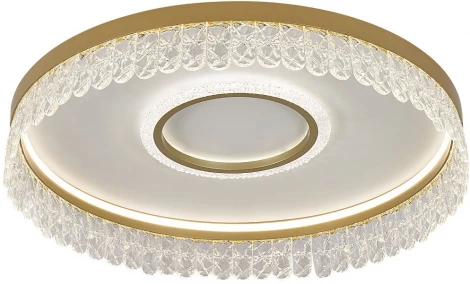 Потолочный светильник круглый F-Promo Lunetta 4186-2C (LED, 220V, подвески, пульт управления, круглые)