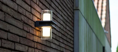 Настенный светильник уличный Oasis Light W1929