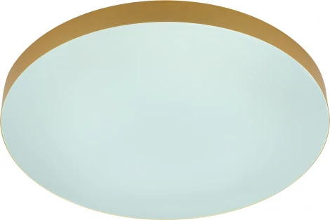 Потолочный светильник круглый светодиодный с пультом и регулировкой цветовой температуры ЭРА Relict 48 Pult SPB-6-60-RC MG (220V, круглые)