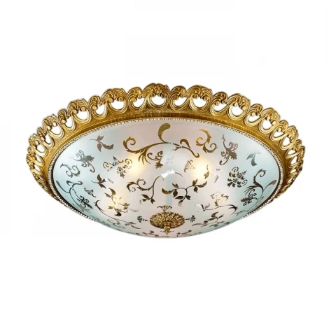 Настенно-потолочный светильник Odeon Light Groana 2775/5C