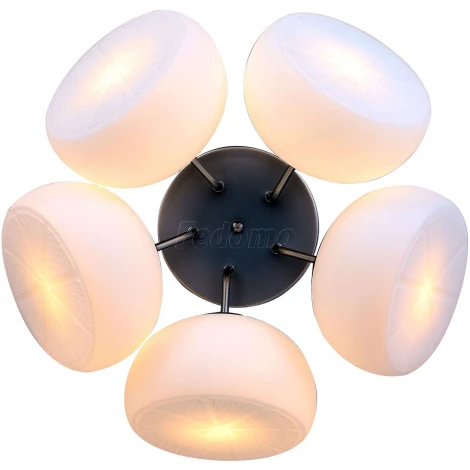Потолочная люстра ST Luce Arancio SL482.502.05