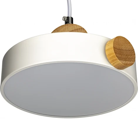 Подвесной светильник светодиодный Ritter Scandia 52077 1