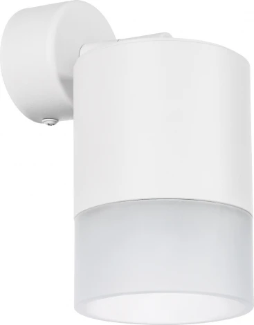 Спот Lightstar Rullo RBX348681 (220V)